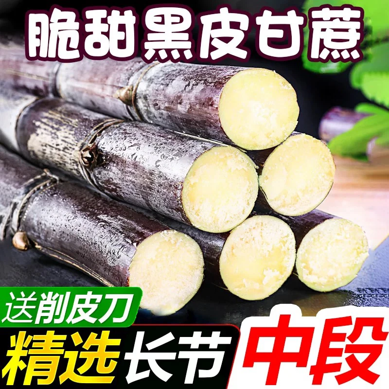 广西黑皮甘蔗精选中段新鲜孕妇水果应当季脆甜多汁甜杆蔗特产