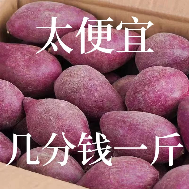 【新店抢购】新鲜紫罗兰紫薯1/10斤现挖沙地紫心蜜薯红薯地瓜非烟薯