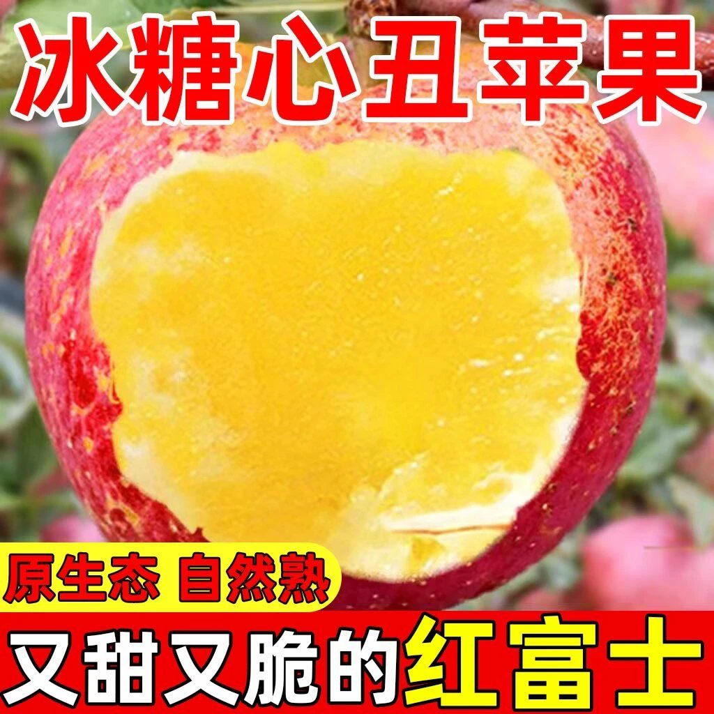 【冰糖心丑苹果】山西原产地直发红富士脆甜现摘5斤9斤装新鲜水果