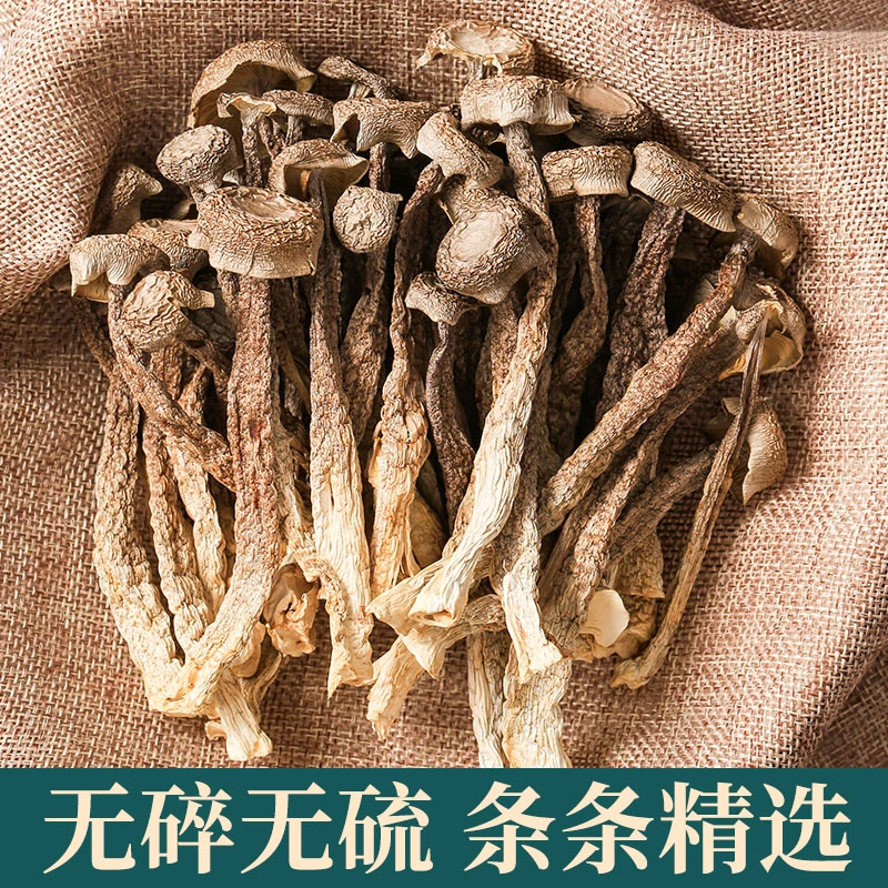 鹿茸菇干货散装净重干鹿茸菌无硫新鲜煲汤古田脆脆菇蘑姑干香菇