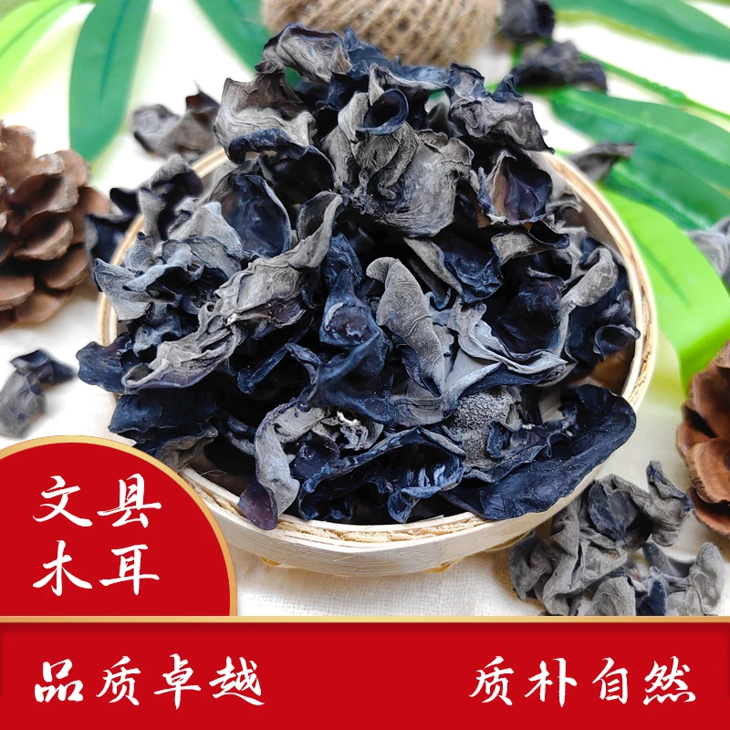 【山哥水妹】甘肃文县无根干货木耳饱满肉厚爽口优质
