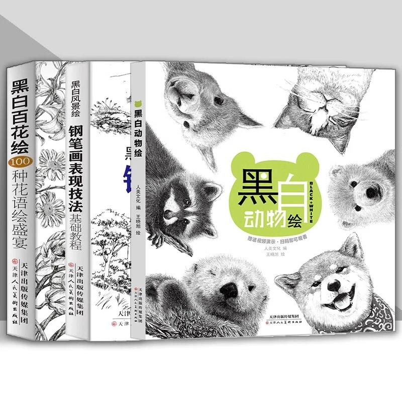 钢笔画黑白风景绘/百花绘/动物绘 技法书工笔画教程 三册天津人美