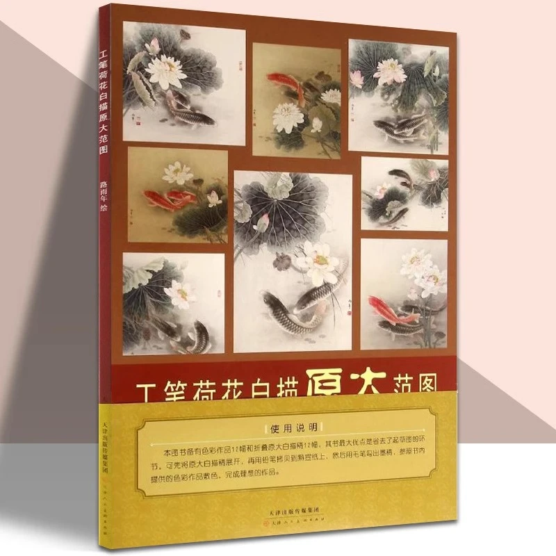 【微瑕平装】工笔荷花/牡丹白描原大范图 路雨年绘