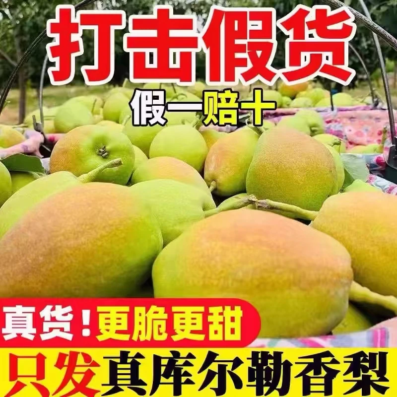 新疆直发库尔勒香梨5斤整箱包邮单果脆甜多汁当季鲜果