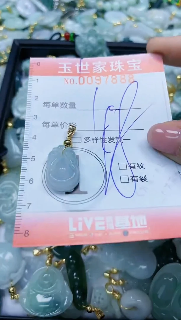 【闪购商品】翡翠颈饰未镶嵌闪购0097888