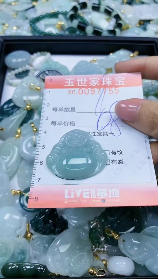 【闪购商品】翡翠颈饰未镶嵌闪购0097755