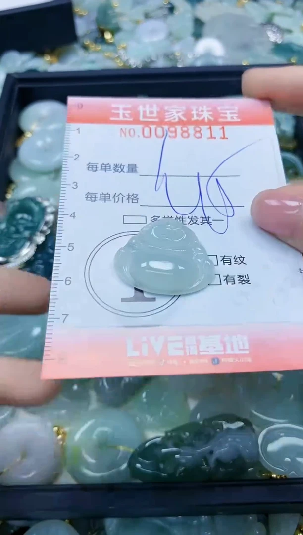 【闪购商品】翡翠颈饰未镶嵌闪购0098811