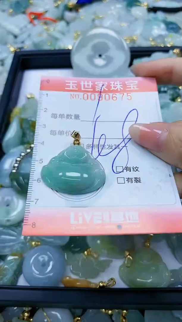 【闪购商品】翡翠颈饰未镶嵌闪购0090675