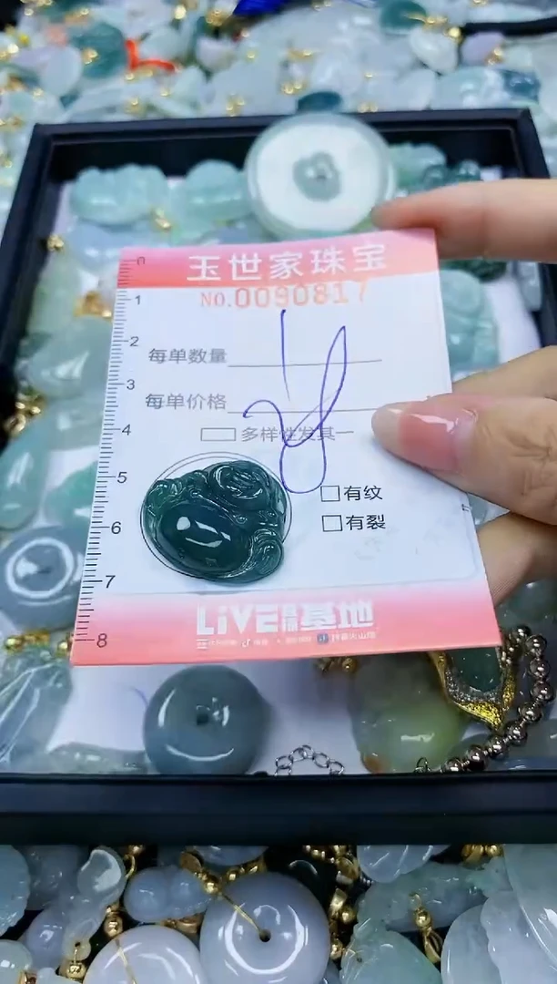 【闪购商品】翡翠颈饰未镶嵌闪购0090817