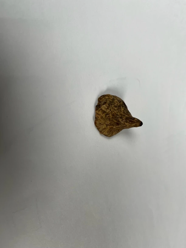 天然野沉香加里曼丹原料