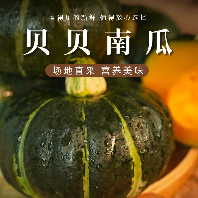 沙地贝贝南瓜4.6斤-9斤粉糯香甜孕妇宝宝辅食粗粮板栗香味南瓜