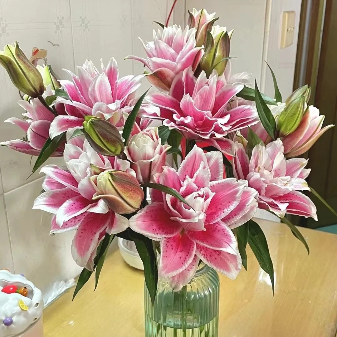 火星之恋重瓣百合红色系有香味