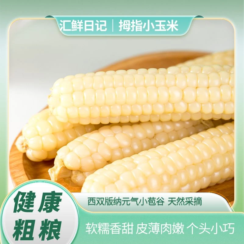 正宗西双版纳拇指小糯玉米新鲜甜糯真空包装减肥代餐