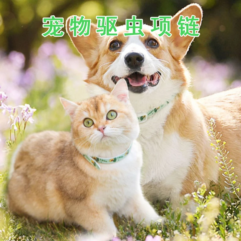 【喵汪汪】猫驱虫项圈狗尼龙项圈小型中型犬宠物用品可调节精油项圈