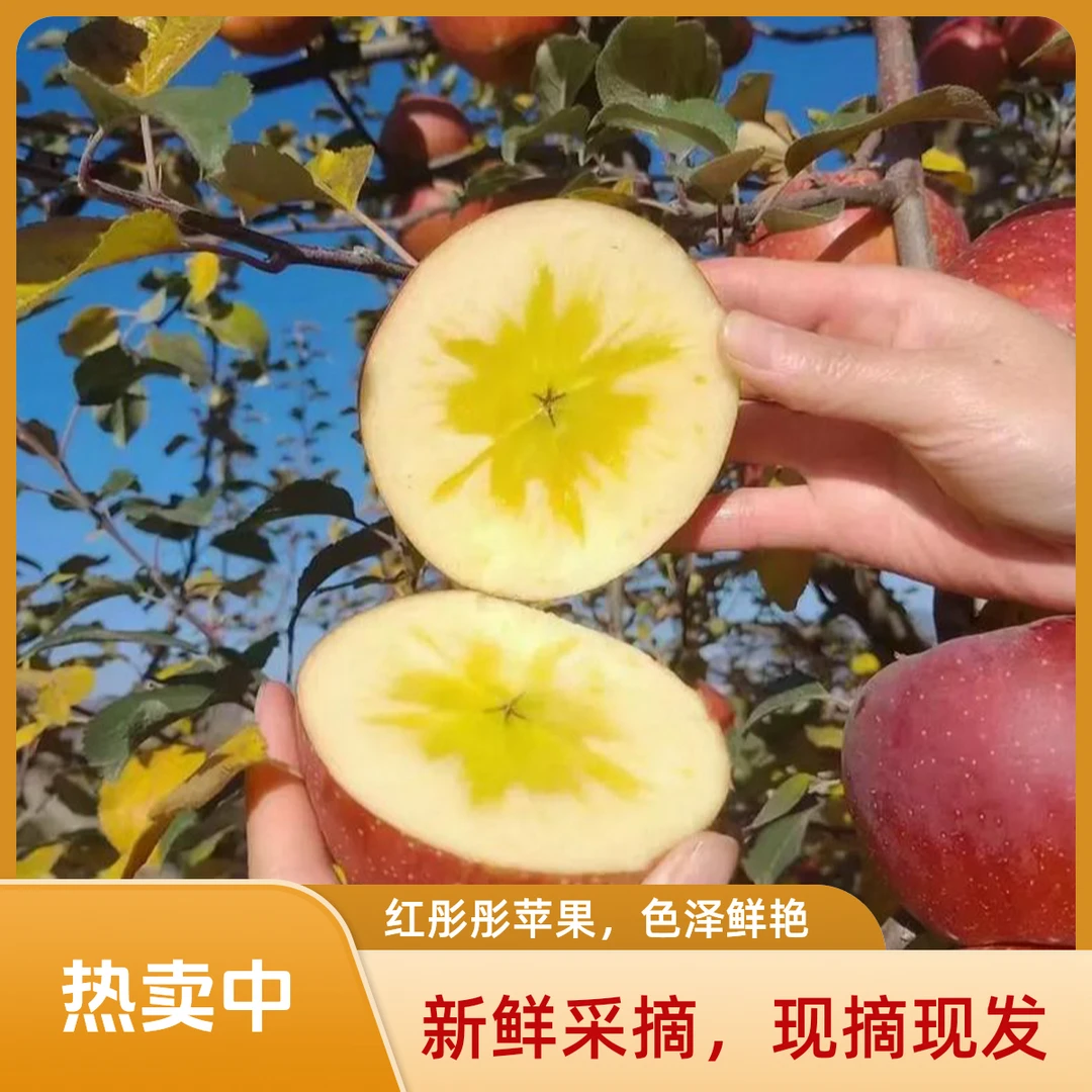 云南精选昭通高原冰糖心丑苹果，精挑细选果子！