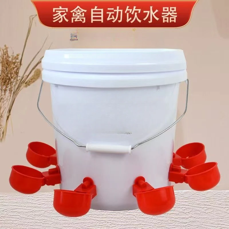 家禽饮水器全自动新款喂鸡自动饮水器鸡饮水器一整套全套鸡子远航