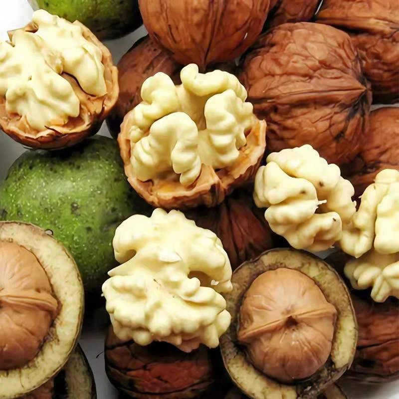 【申通包邮】坏果包赔2024新鲜核桃手工去皮鲜核桃甘甜脆爽产地直销