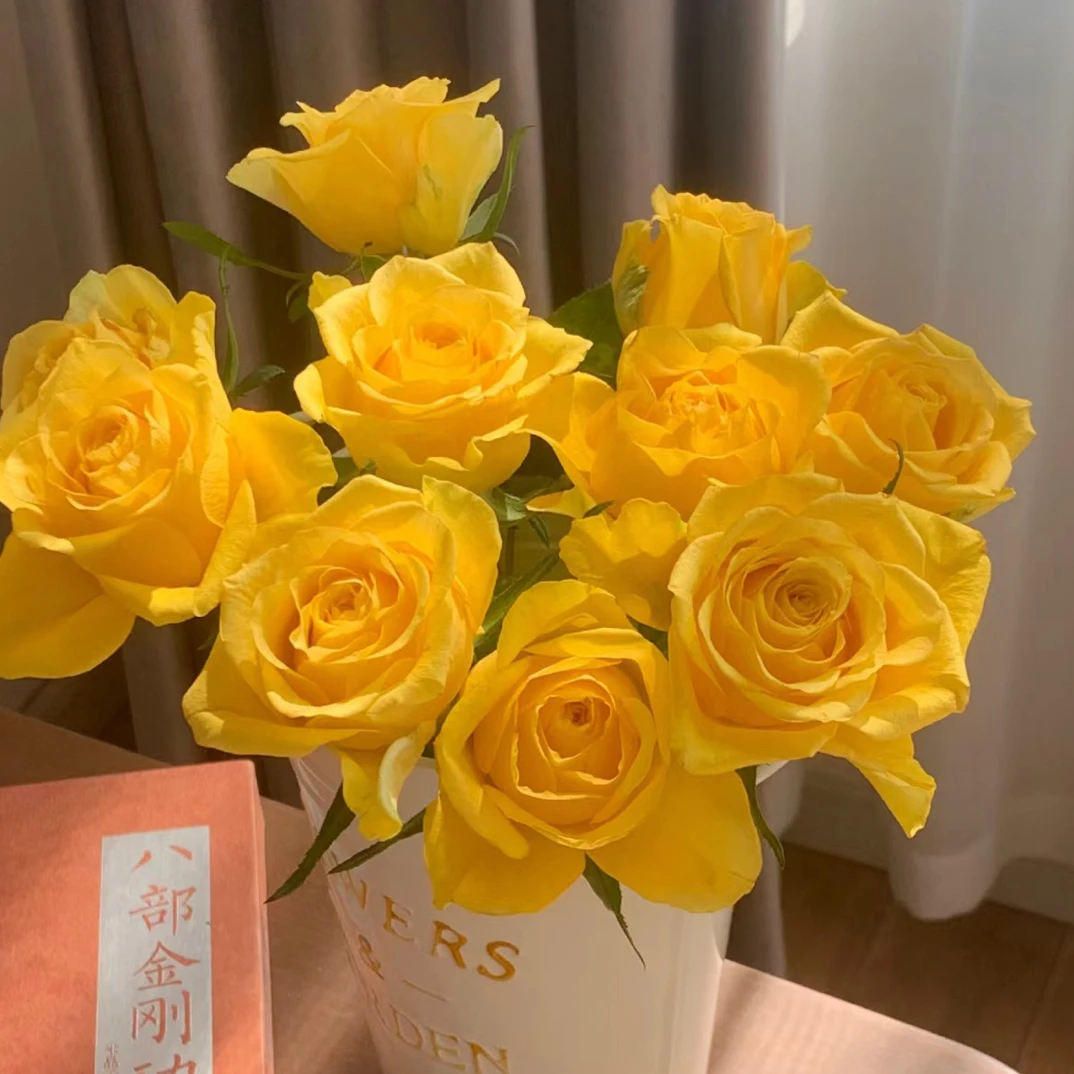 【任意4单包顺丰】月华黄玫瑰 方德品牌无土栽培