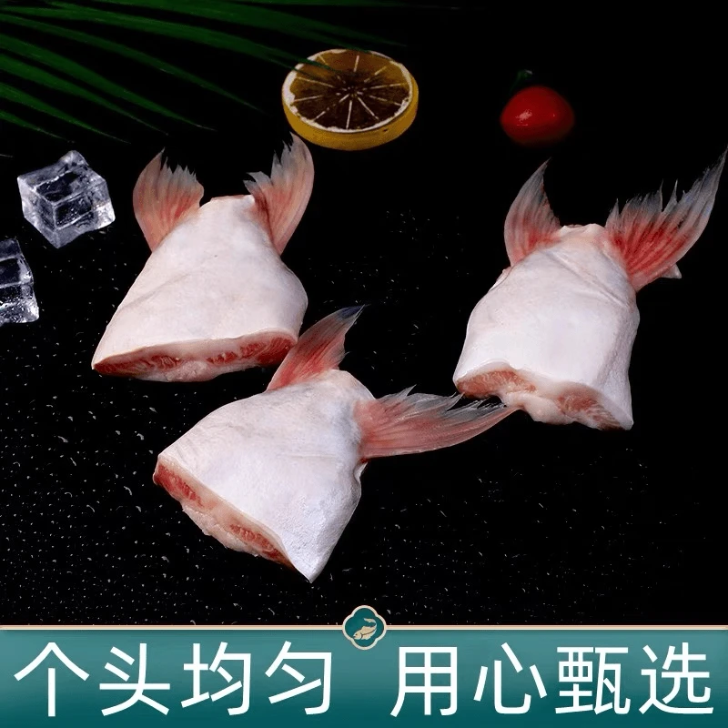 【顺丰包邮】连云港丰收季新鲜现切腌制速冻鲜嫩无刺巴沙鱼翅鳍烧烤