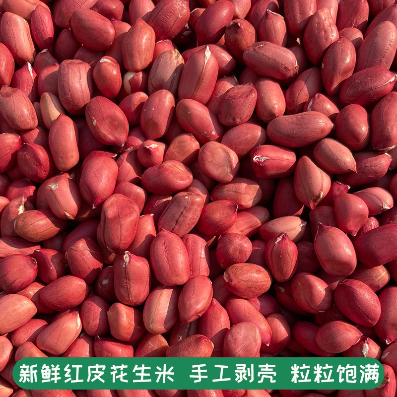 红衣花生米新红皮高能感带壳生花生仁四粒红花生干健康包邮营养