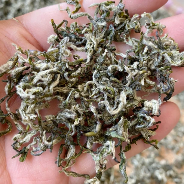 名雅春竹2024新茶手工毛峰甘露蒙顶山高山云雾茶250克500克