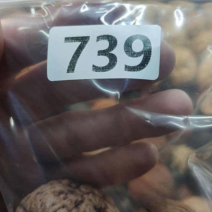 橄榄核吊坠文玩核桃