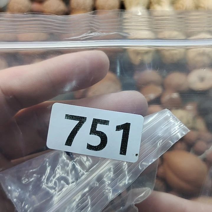 橄榄核吊坠～*～文玩核桃