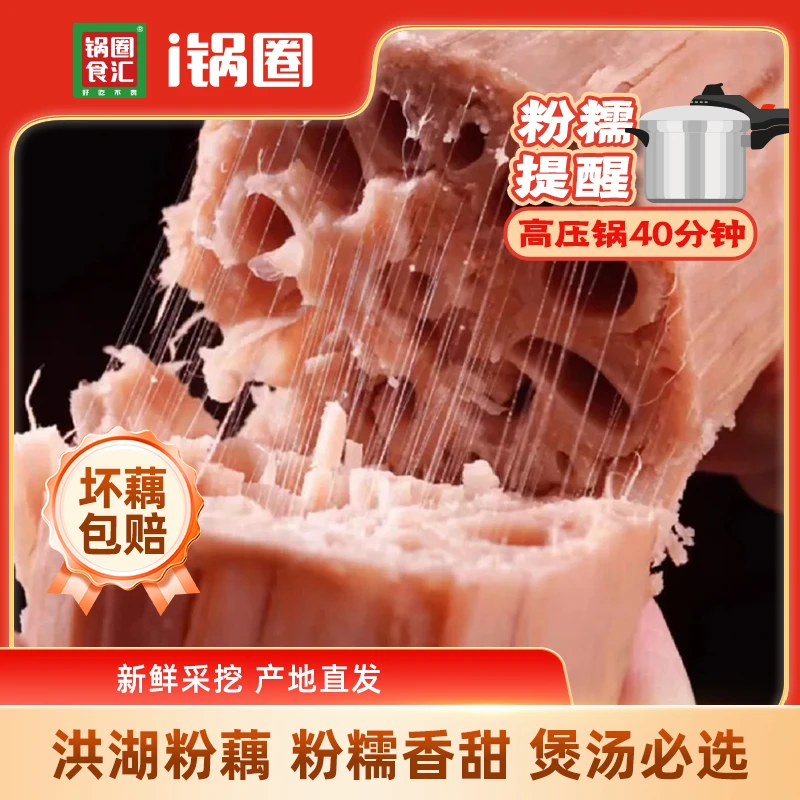 【锅圈】洪湖粉藕新鲜采挖 产地直发 粉糯香甜 煲汤必选莲藕