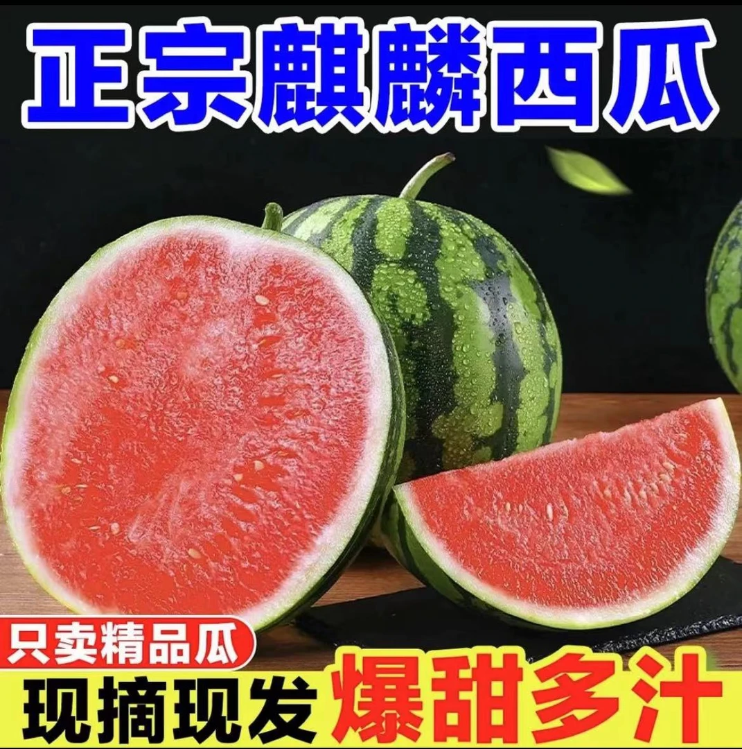 【云南麒麟西瓜】现摘现发薄皮超甜爽口西瓜蜜甜多汁应季新鲜水果