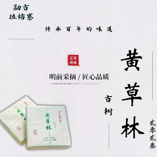 2023年头春黄草林古树普洱生茶砖100克*2砖