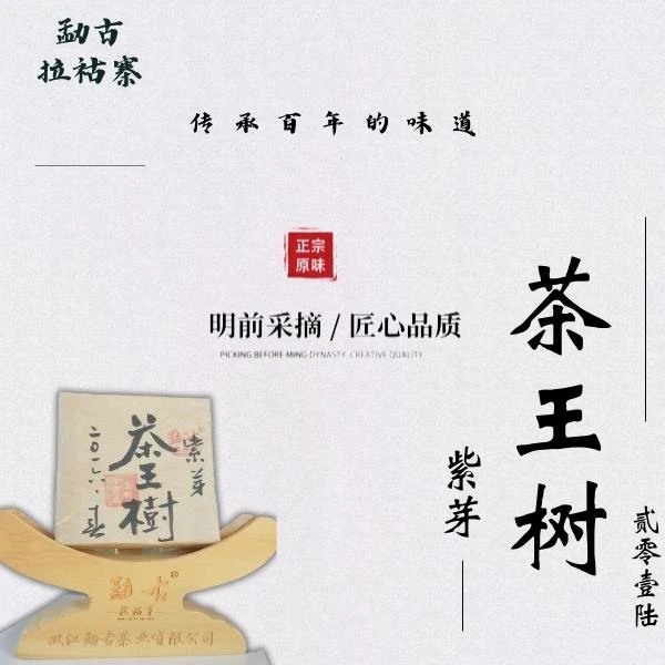 高货放漏:紫芽茶王树 2016春 100克砖 普洱茶