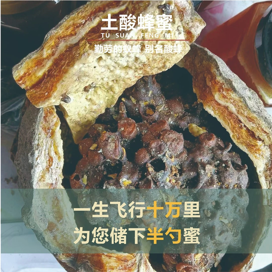 丛林土酸酵藏蜜 70克/瓶/试吃装 原生蜜仅过滤