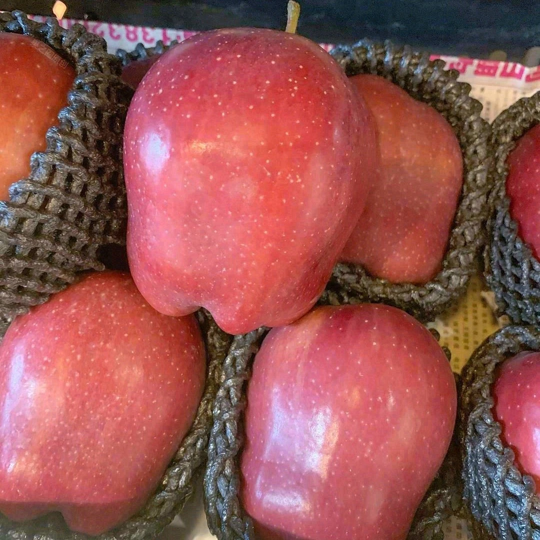 【整果】蛇果大果 粉甜口感 包送到家！