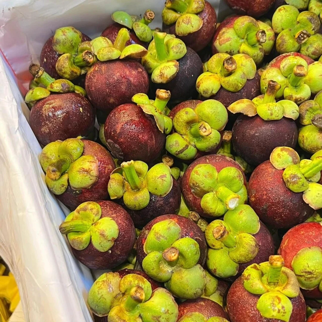 【进口水果】精选 5A泰国山竹 500/1000克/份