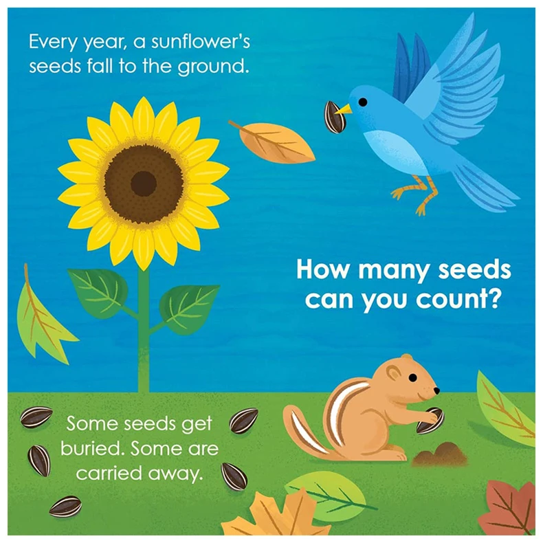 【现货】蒙特梭利：种子 Montessori: Seed Work 英文儿童绘本 学
