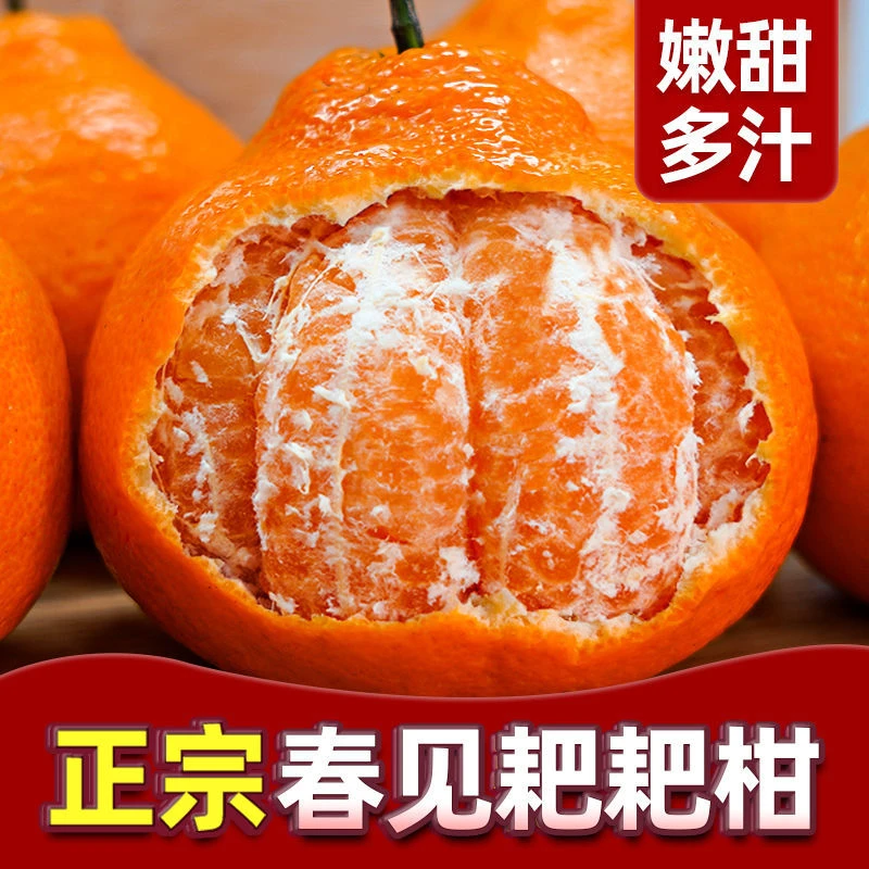 四川春见粑粑柑丑橘3-9斤四川当季新鲜水果整箱丑橘杷杷现摘现发