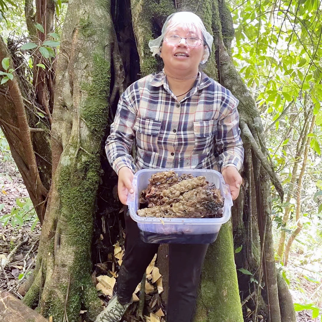 云南德宏树酸蜜西双版普洱土酸蜂蜜天然酸甜滋补药蜜微酸中酸特酸
