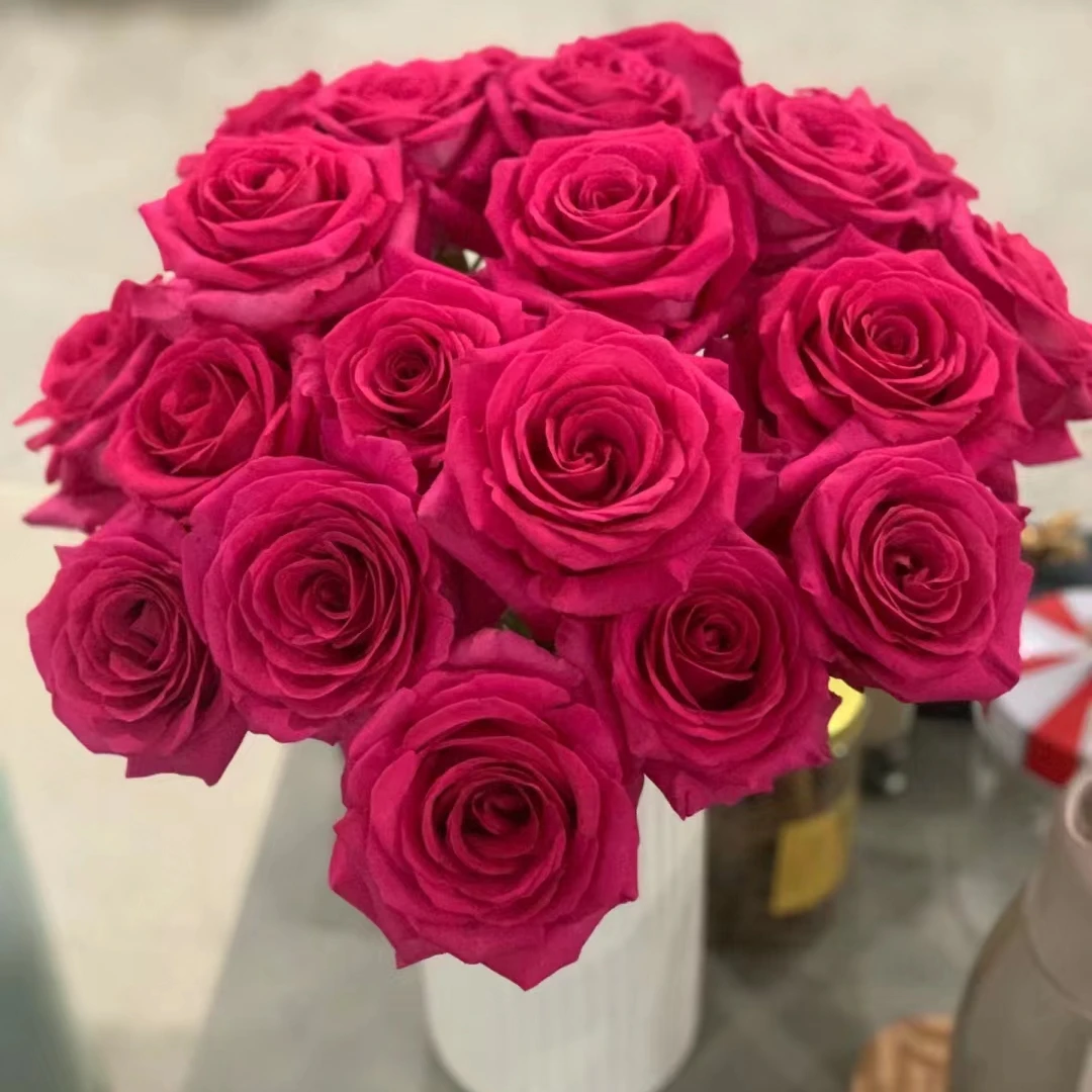 【弗洛伊德】玫瑰【收到花一定要醒花,不会的请联系客服】