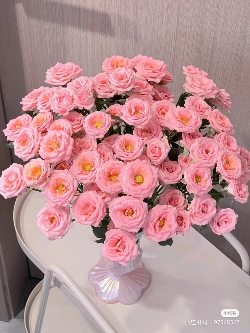 云南鲜花基地直发【露露公主】【同一地址2单及以上送配草1把】