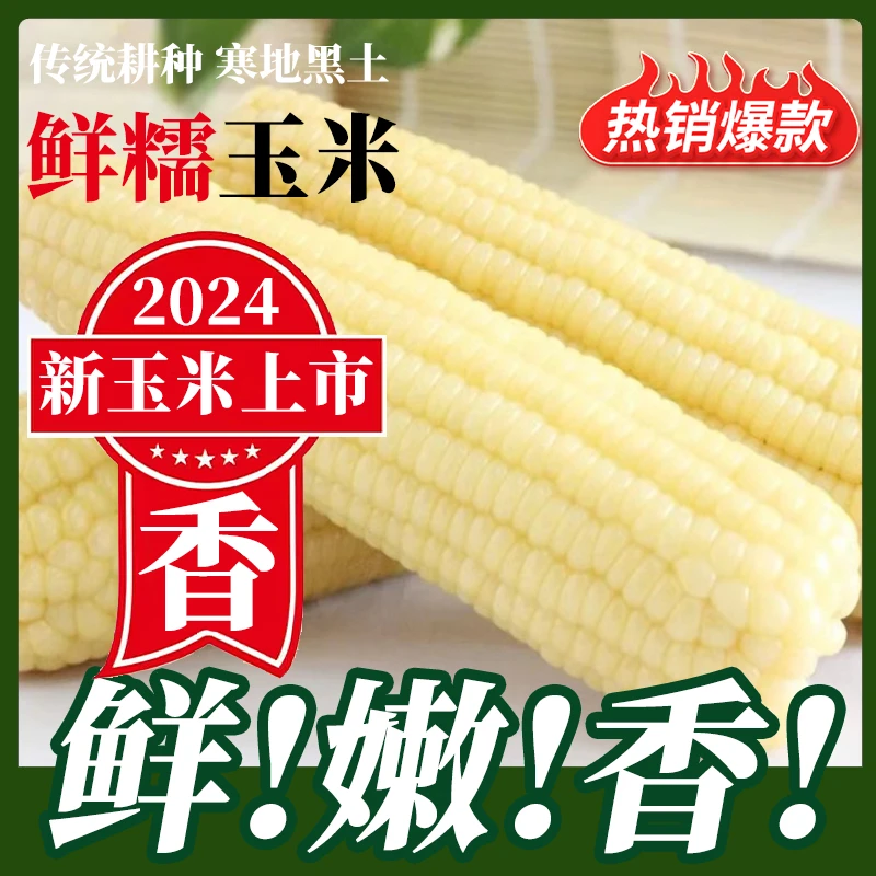 【试吃2根】东北白糯玉米单根260g*8根软糯香甜真包装