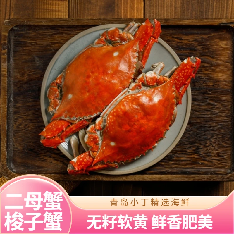 【青岛当日鲜】二母蟹 梭子蟹 2-3两/只 2-4斤【保鲜不保活】