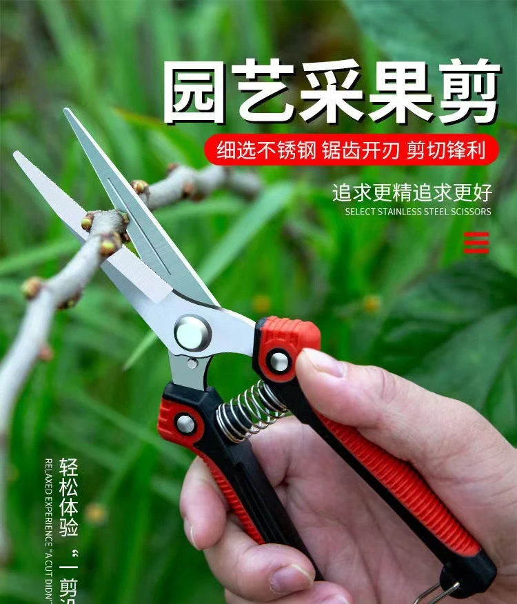 不锈钢果园专用剪刀瓜果采摘剪刀修枝剪刀葡萄稀果剪刀修枝专用剪