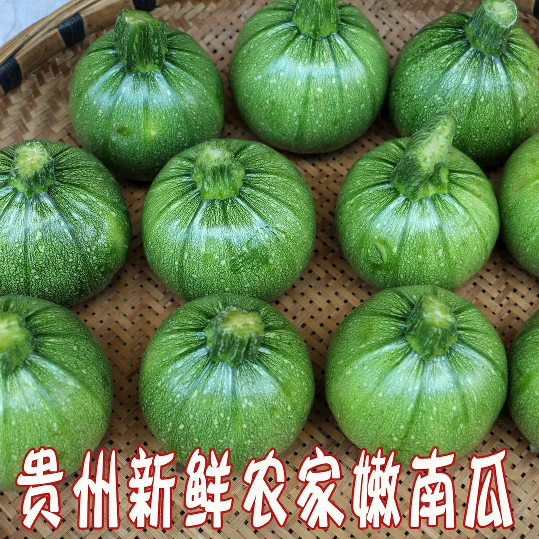 贵州农家新鲜蔬菜嫩南瓜绿皮迷你小南瓜仔青菜瓜1斤5斤包邮农家菜