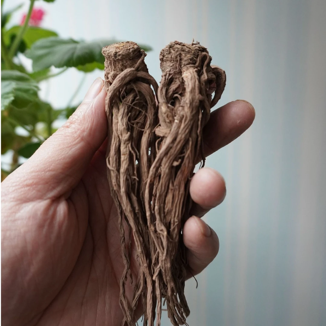 正宗岷县当归（小条）高品质整颗「无硫干货」高山干货滋补佳品