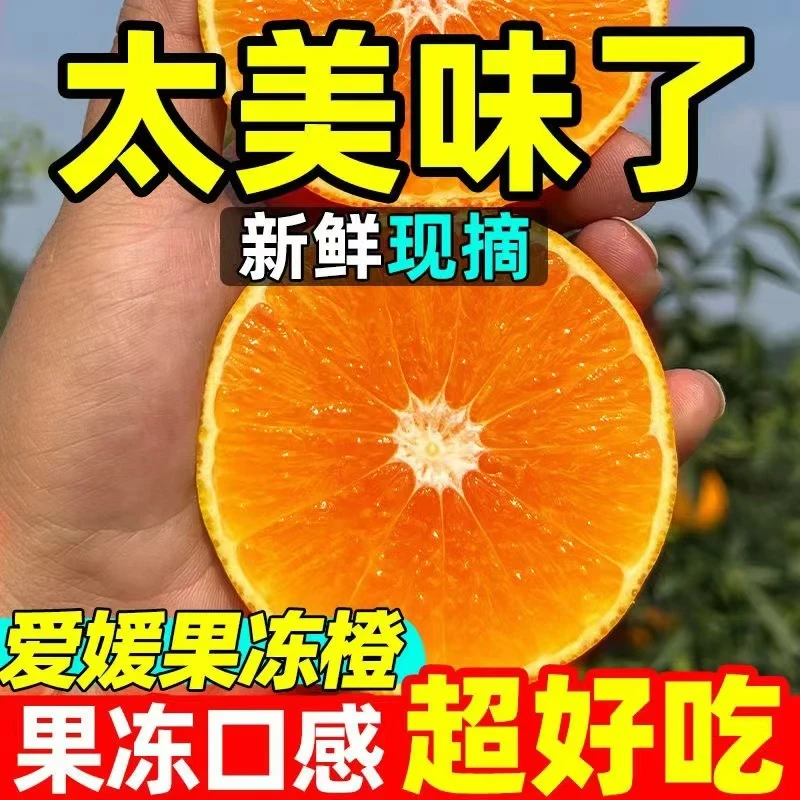 礼盒9斤装正宗四川眉州爱媛果冻橙高品质现摘现发新鲜多汁爆甜