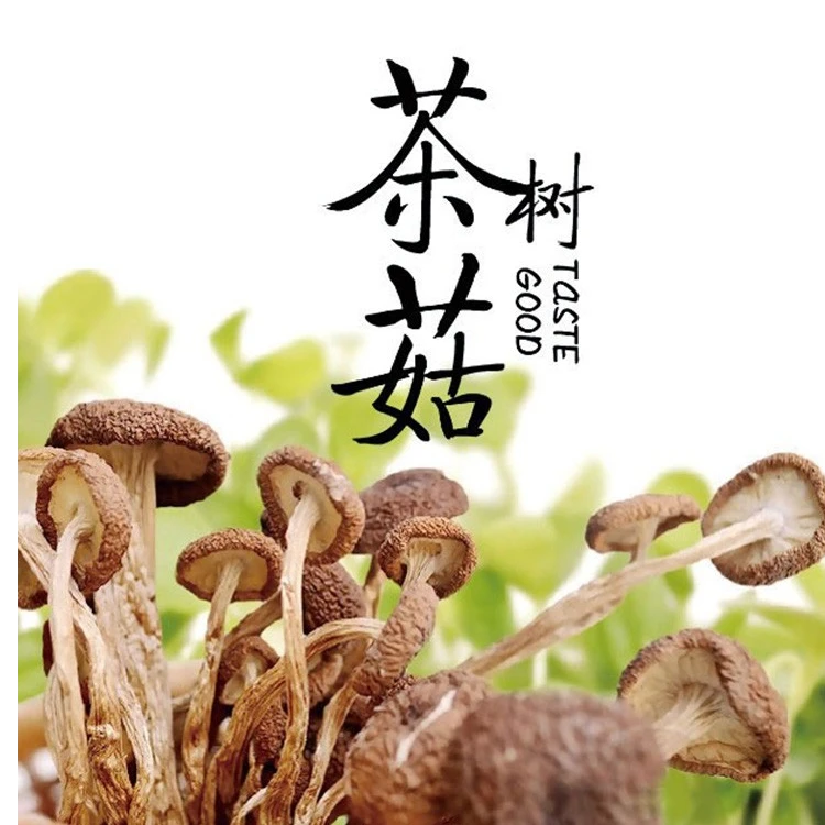荆公江西广昌特产茶树菇干货农家种植菌菇山货无硫煲汤150/包
