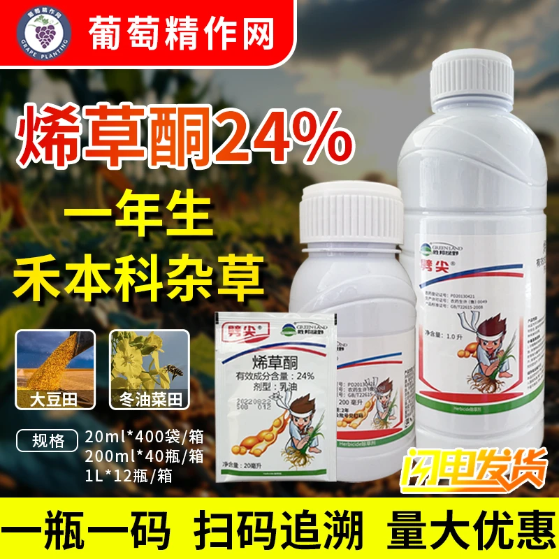 胜邦绿野 劈尖 24%烯草酮 冬油菜田大豆田一年生禾本科杂草除草剂