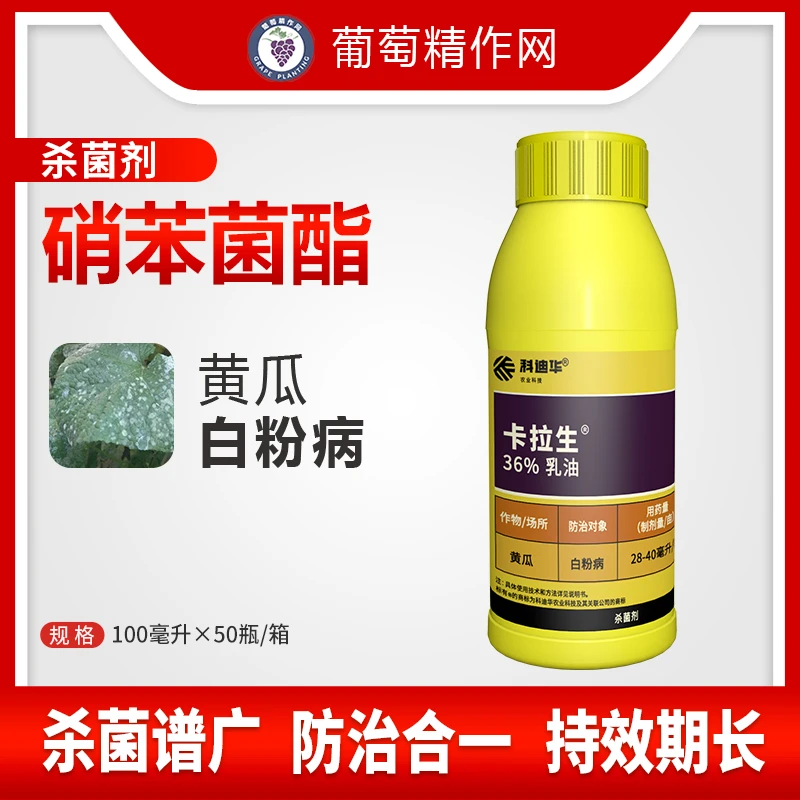 科迪华卡拉生 36%硝苯菌脂 黄瓜白粉病 农药杀菌剂乳油喷雾100ml