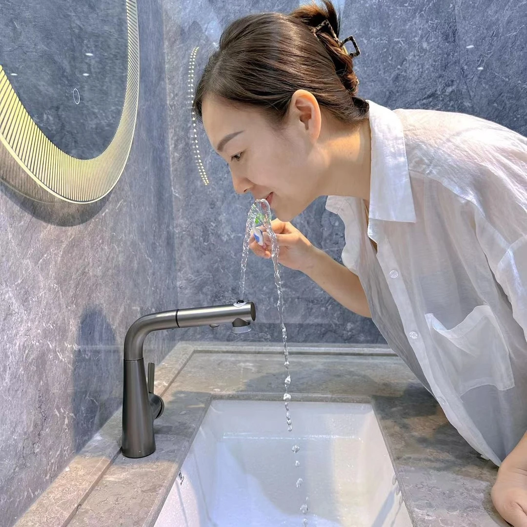 利弗顿多功能水龙头升降抽拉旋转多功能三档出水模式冷热混水龙头