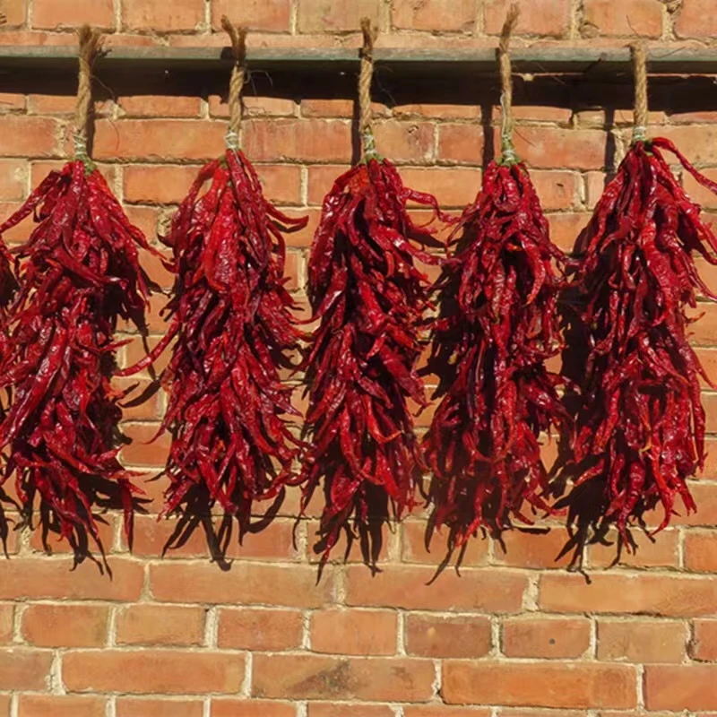 东北农村笨辣椒 当年笨辣椒笨辣椒串【顺丰包邮】